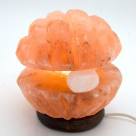 Himalaya Salt Lamp - Polished Salt Shell - Natural