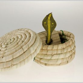 Enchanted Snake Basket - Surprise - Recommended Product