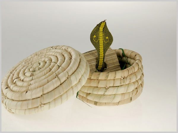 Enchanted Snake Basket - Surprise - Recommended Product