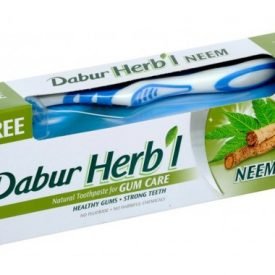 Ayurvedic Toothpaste with Neem Medicinal Extract -100 ml - DABUR
