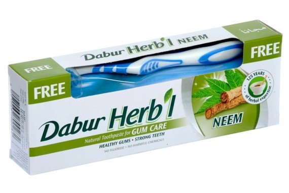 Ayurvedic Toothpaste with Neem Medicinal Extract -100 ml - DABUR