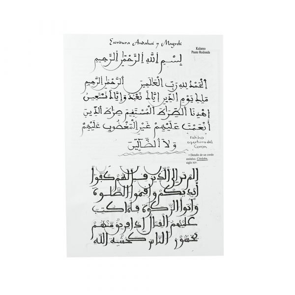 Kalam Arabic Script Pack 4 - Bamboo - 3 Sizes -3 Graduations
