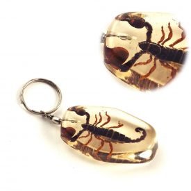 Keychain Scorpion in Resin - 6 cm