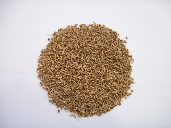 Anise - in-grain-high quality - 200 gr