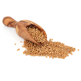 Yellow Mustard in Grain - Oriental Spice Selection - Ruca - 1Kg